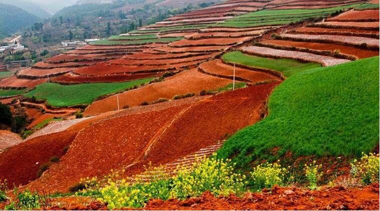 中國土壤幾病癥，該如何管理土壤？