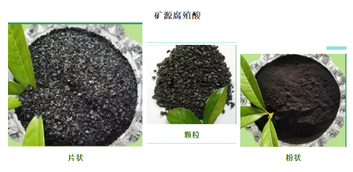 看過來！帶你了解司普沃赫蔓核心成分-礦源腐殖酸