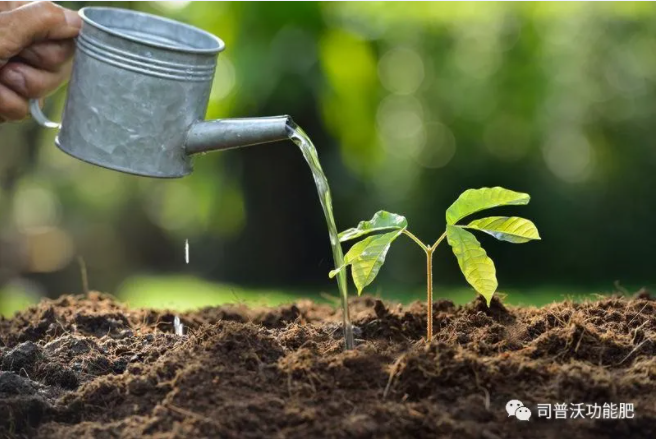 如何識別土壤酸堿性？6招讓你成為判斷高手！