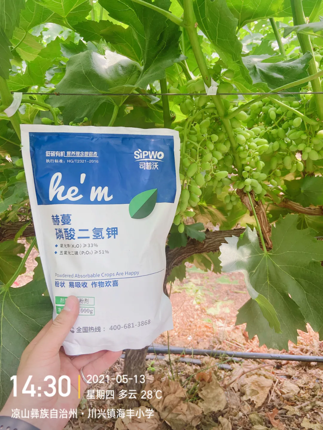 磷酸二氫鉀的辨別真假現(xiàn)場(chǎng)，99%以上是假貨！