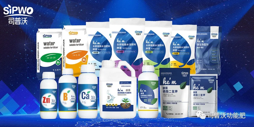 柑橘出現(xiàn)太陽果怎么辦！如何全面防灼防裂？