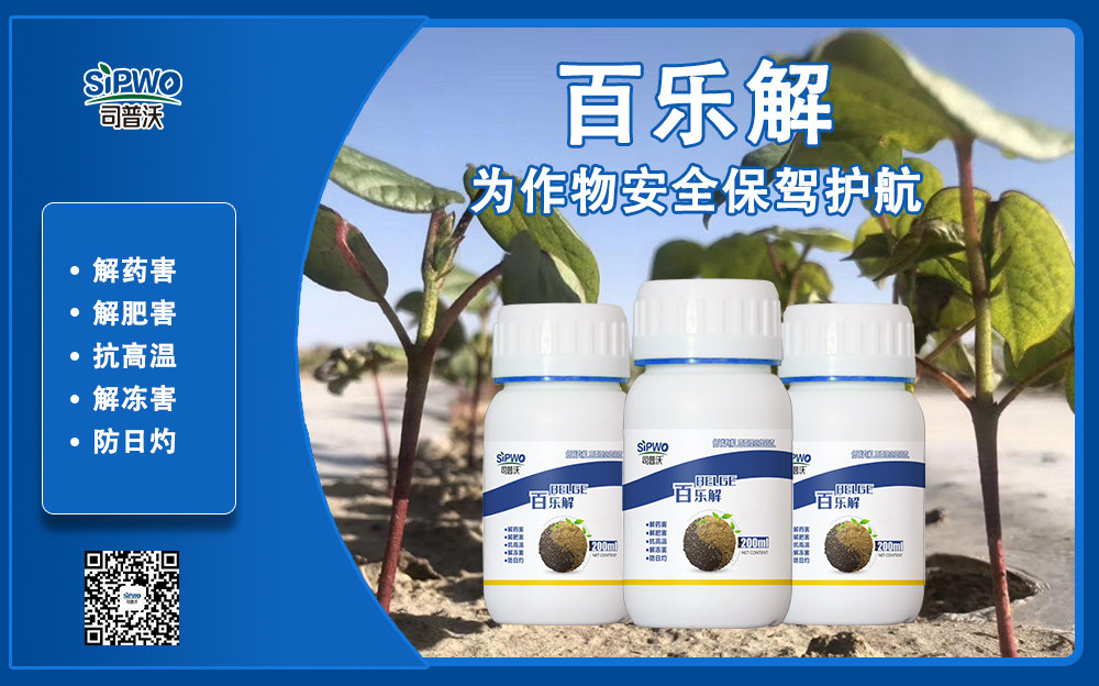 司普沃赫蔓百樂解，解凍害、解肥害、解藥害，棉花上再顯神威！