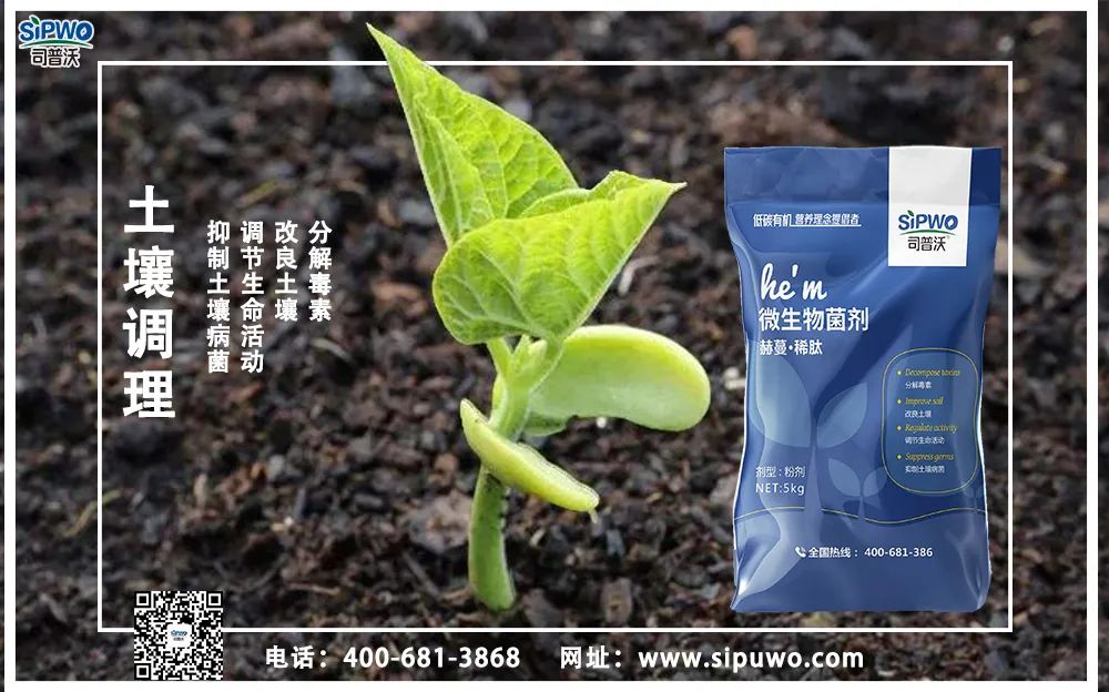 【農(nóng)技知識(shí)】土壤出問(wèn)題了，肥料用再多也別想增產(chǎn)！