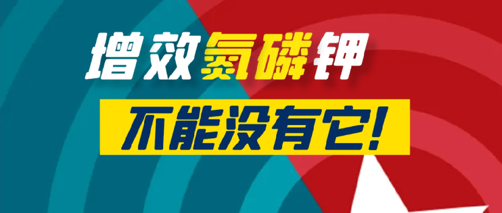 要想作物長得好，中量元素少不了！