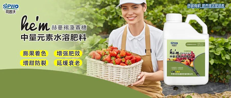 褐藻寡糖--中量元素水溶肥|膨果著色、增強肥效、增甜防裂、延緩衰老