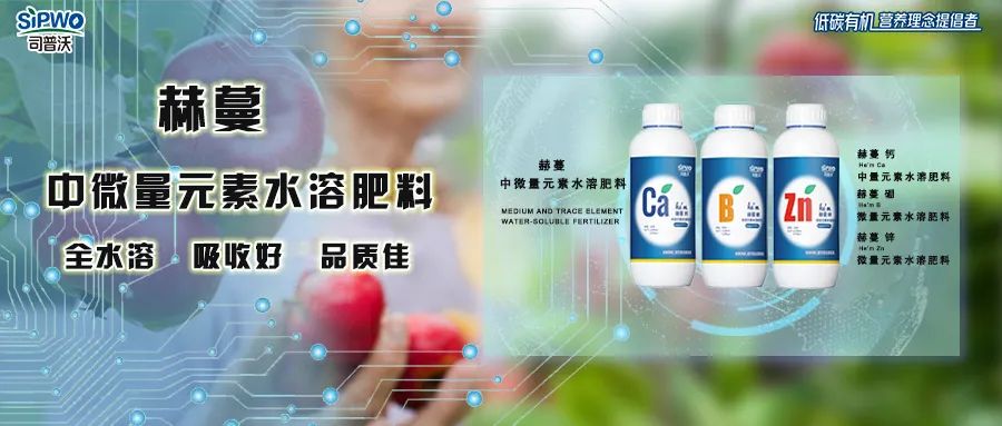 中微量元素鈣、硼、鋅|移動快、吸收好、營養(yǎng)全、品質(zhì)佳