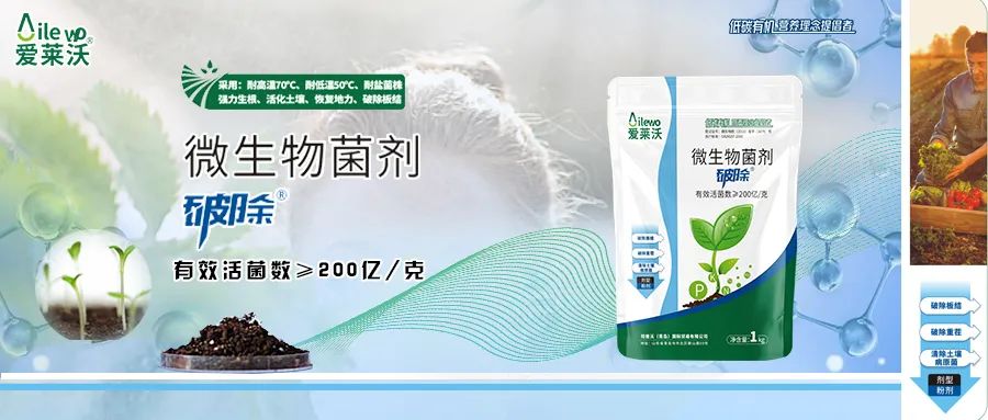 愛萊沃·微生物菌劑_破除|沃土、生根、抗病一步到位