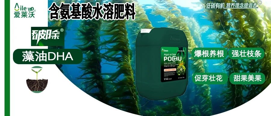 愛萊沃·破除藻油DHA|爆根養(yǎng)根、強壯枝條、促芽壯花、甜果美果