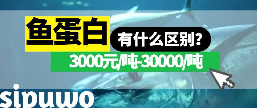 3000-30000元/噸的魚蛋白有多大差距？一篇文章告訴你！