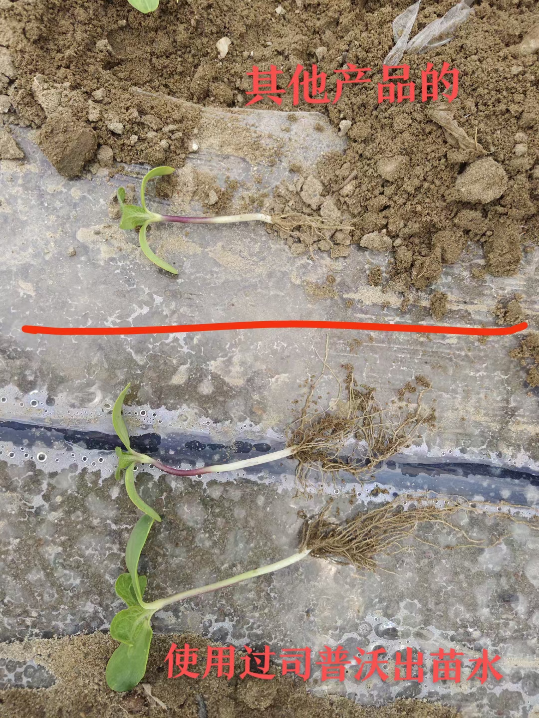 種地也有“秘密武器”？司普沃三活三抗套餐來揭秘！